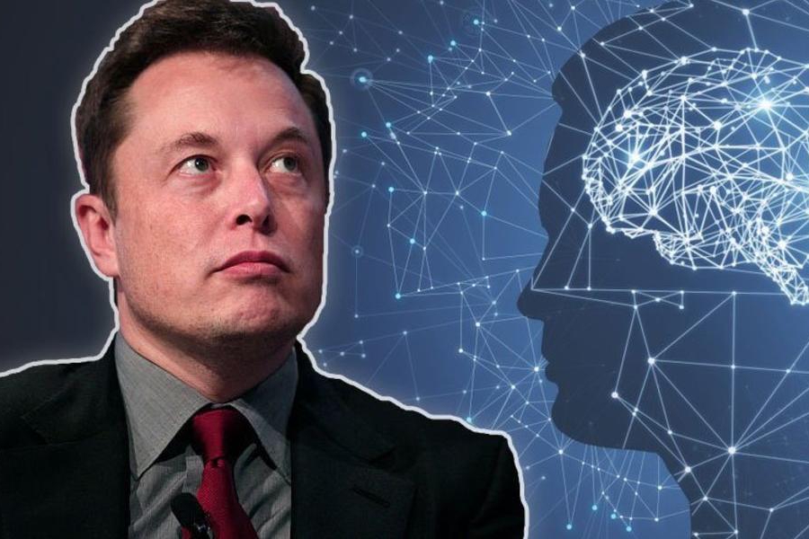 涨了，涨了！半导体和马斯克都涨了！